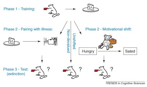 Reinforcement Learning (part 3b) - Slidev